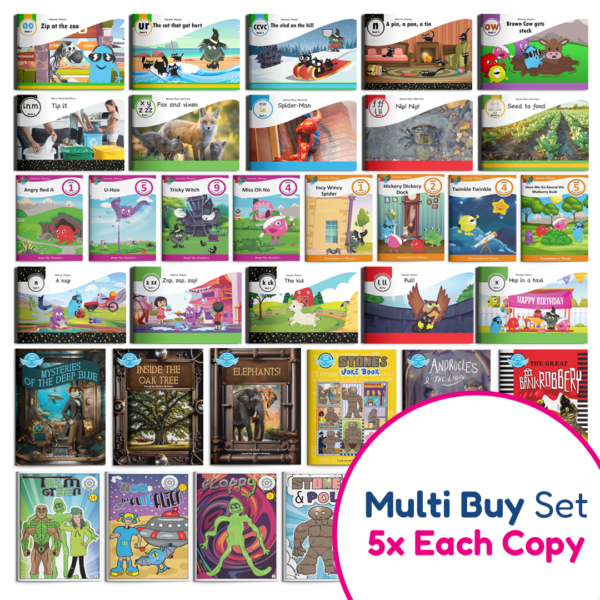 MULTI BUY Complete Reading Scheme Book Bundle 5x copies of each title From Foundations to Fluency Practice